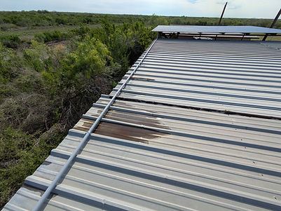 PXL_20260520_144448113.jpg