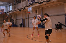 photo nov 11 2025, 12 44 55 pm (1).jpg