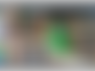 The Perfect Home: A Guide to Choosing the Right Bird Cage