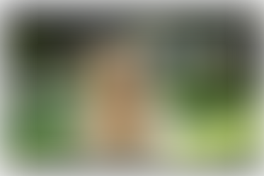 Why Is My Dog Panting? Understanding the Canine Air Conditioner