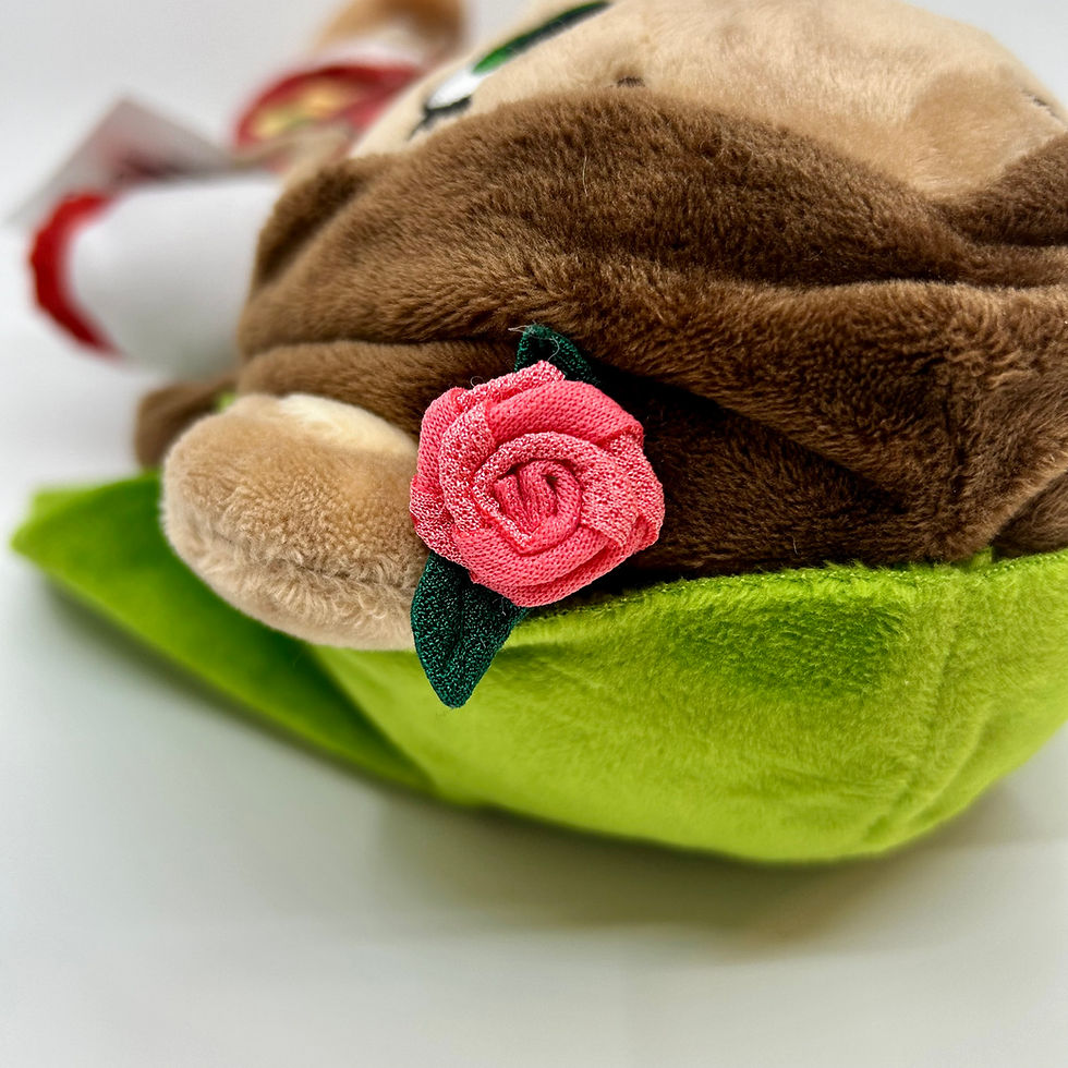 Миниатюра: Мечката Марта