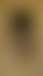 Beachwear 2026: a nova estética entre pele, natureza e design