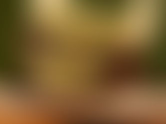 Easter egg 2026: Casa Bauducco com Carole Crema