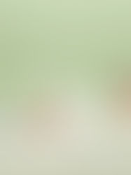 Lacoste reimagina seus clássicos em campanha com Djokovic, Venus e mais