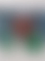 RIMOWA aposta em Verde e Granada por viagens com mais cor