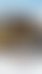 Ruche Hivernale, a experiência Guerlain no Cheval Blanc Courchevel