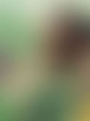 Tarsila + Scarf Me: Segundo drop de coleção veste arte e brasilidade