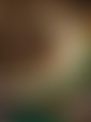 Torta Holandesa: história e receita com Silvia Leite em "Se a Vida Tivesse Receita"