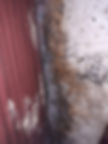 Penetrating Damp and Mould Surveys and Inspections in Iver Slough Windsor and Uxbridge