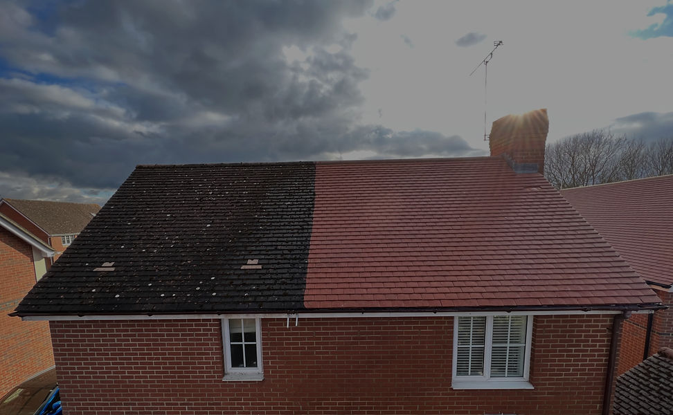 Roof Cleaning Steam Moss Removal Bishops Stortford Essex Hertfordshire Cambridgeshire.jpg