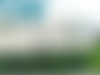 MODO DE VIDA — Summer