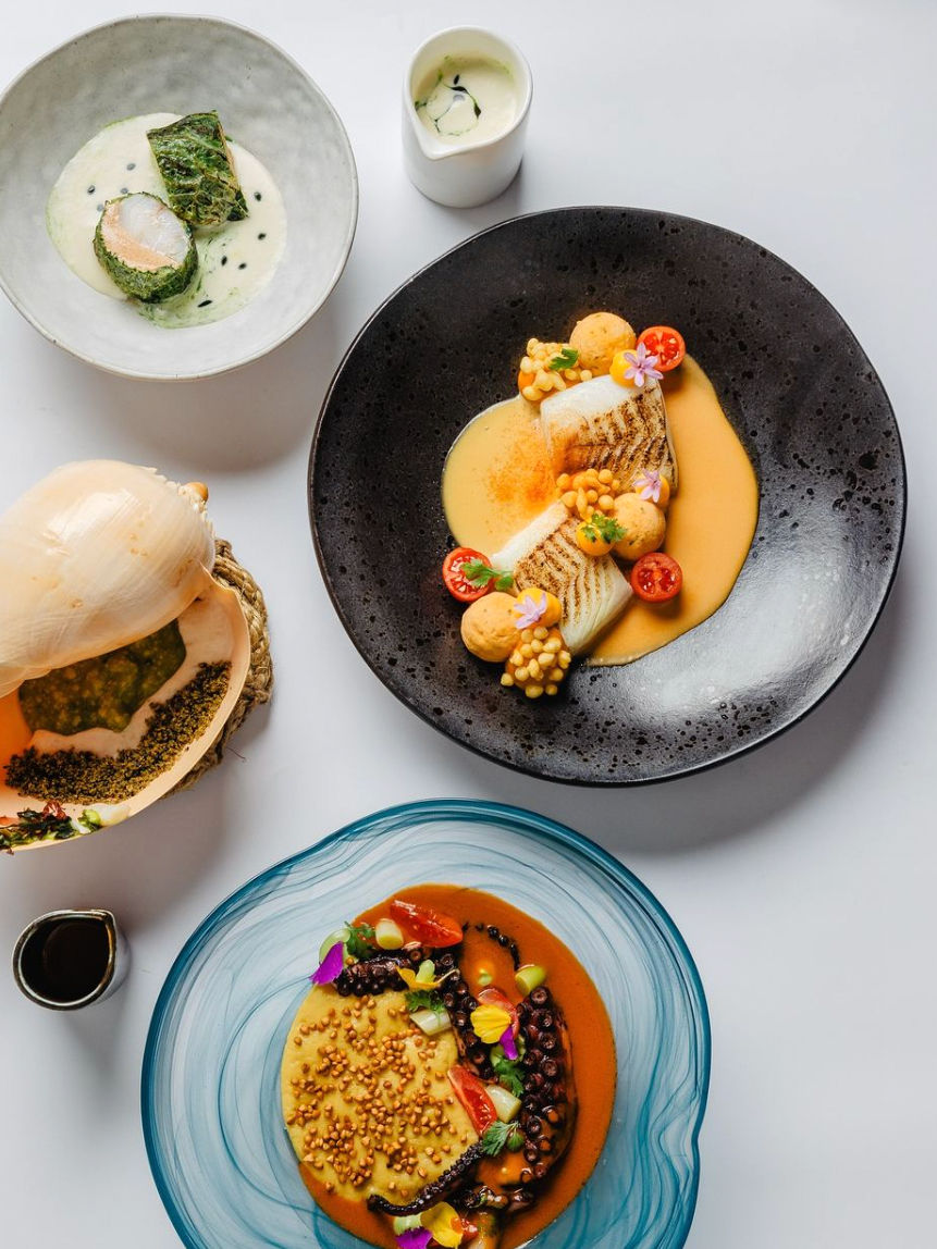 A top down of modern advanced dishes on a table