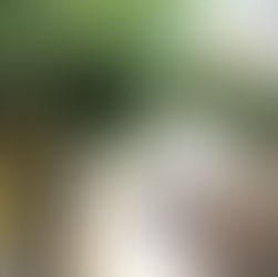 Tavira: how to enjoy the perfect day