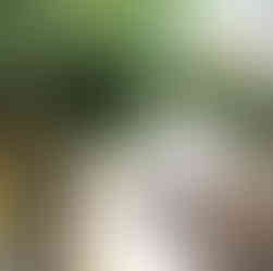 Visit Tavira 7-Day Algarve Itinerary: Best Places, Beaches & Towns to Visit