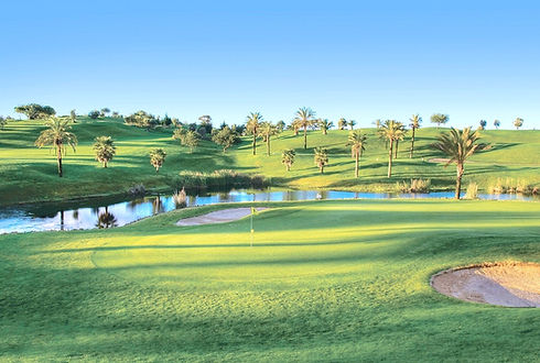gramacho-pestana-golf-606346_edited.jpg