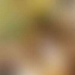 Beautiful cafe in Carvoeiro Algarve on wooden trays with small price tags, surrounded by flower pots and baskets in a cozy bakery setting.