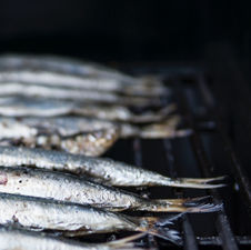 A Barquinha - family-run gem with catch of the day