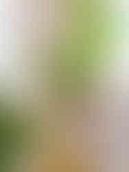 A brunch and dinner cafe in Carvoeiro with pink furniture and green plants