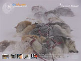 GN2010-Poster-170.jpg