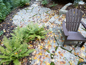 5 Reasons Why Fall Leaf Cleanup is Essential