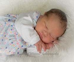 BabyRose_0026smallwm