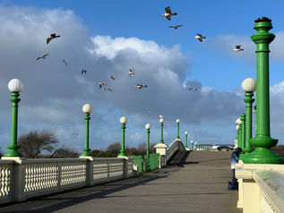 Smartphone nature photography: characterful, green-and-white pedestrian bridge at Southport, with gulls flying over