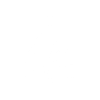 Christmas Icon 1.png