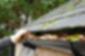 gutter-cleaning-1.jpg