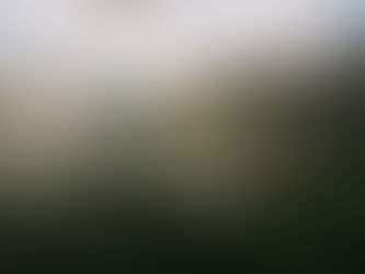 Buahan, a Banyan Tree Escape launches Exclusive Women’s Retreat with Beyond