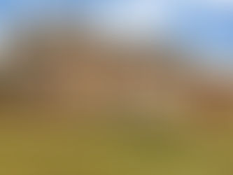 Marine & Lawn Collection unveils three exciting Scottish openings