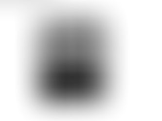 Black in White America, 1963-1965