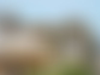 Museums and Eateries in Alentejo, Portugal