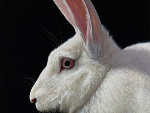 Artist Profile: Alexandra Klimas