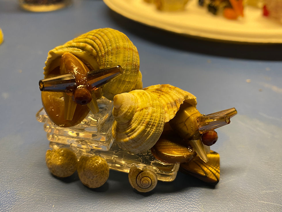 Thumbnail: Under the Sea Collectible (12) medium-large sized, Set