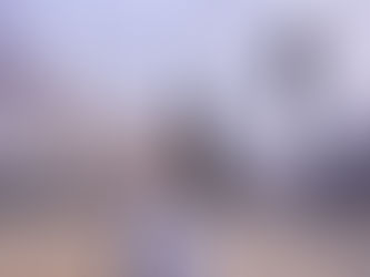 ５月２３日（木）すみだ北斎美術館『フランス人がときめいた日本の美術館』