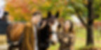 HVCC Brochure Stock Images (16)_edited.jpg