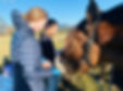 Clydesdale 4.jpg