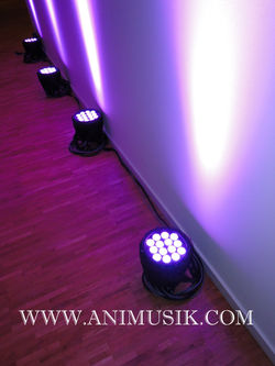 ANIMUSIK la Passion de l'Animation (138).JPG