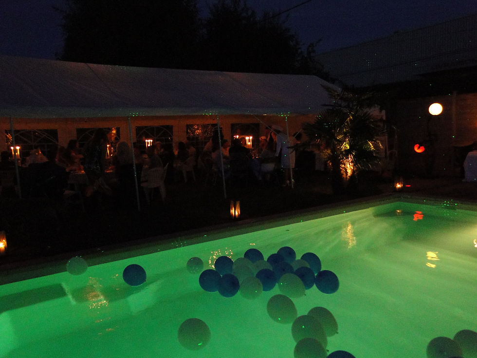 animusik_animation_dj_mariage_soirée__séminaire_Karaoké_anniversaire_Genève_Anne