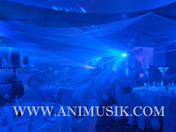 ANIMUSIK la Passion de l'Animation (64).JPG