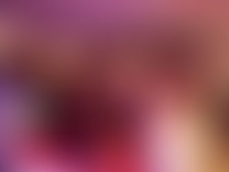 Soirée Hôtel ROTARY, Genève Vendredi 19 janvier 2024 www.animusik.com