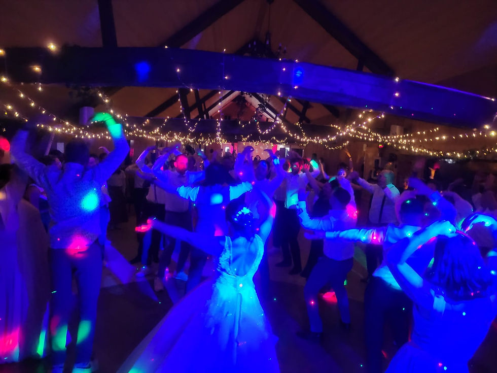 animation mariage La Palud | dj mariage La Palud | dj mariage animation Haute-Savoie 2024