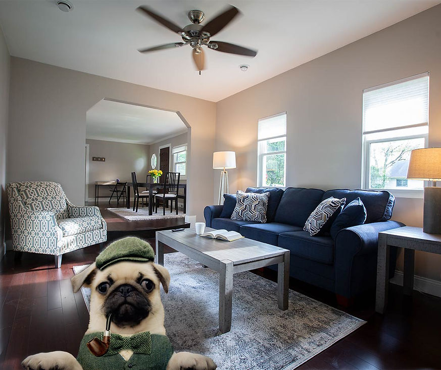 Pug-and-LR-view.jpg