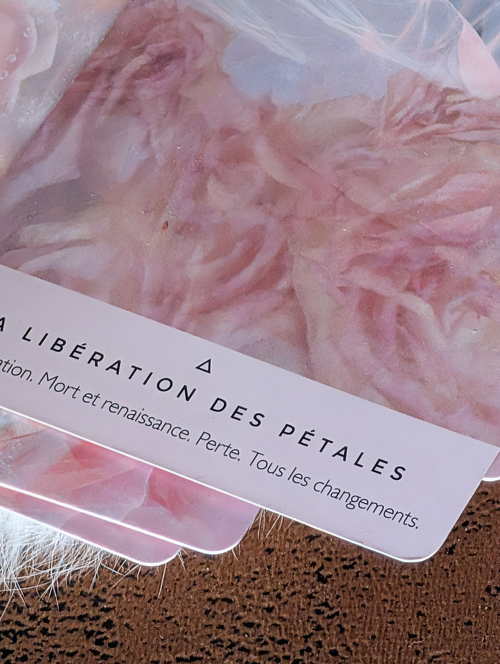 Miniature : Oracle de la Rose