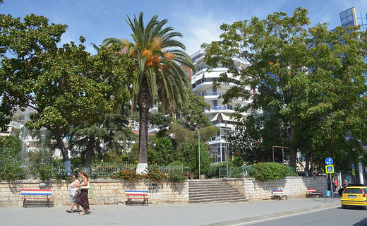 Sarande, Sheshi Nene Tereza, Friendship Park, palm trees, steps
