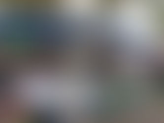 Vide grenier de Lamastre du 27 juillet