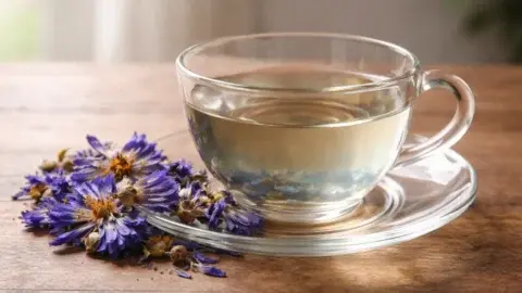 blue-lotus-tea-480x270.webp