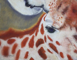 Time for My Close-up