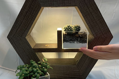 Touching Plant_2.jpg