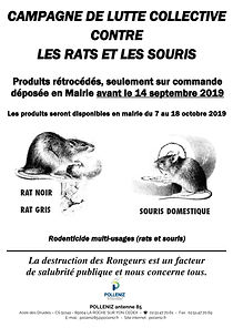 AFFICHE 2019.jpg